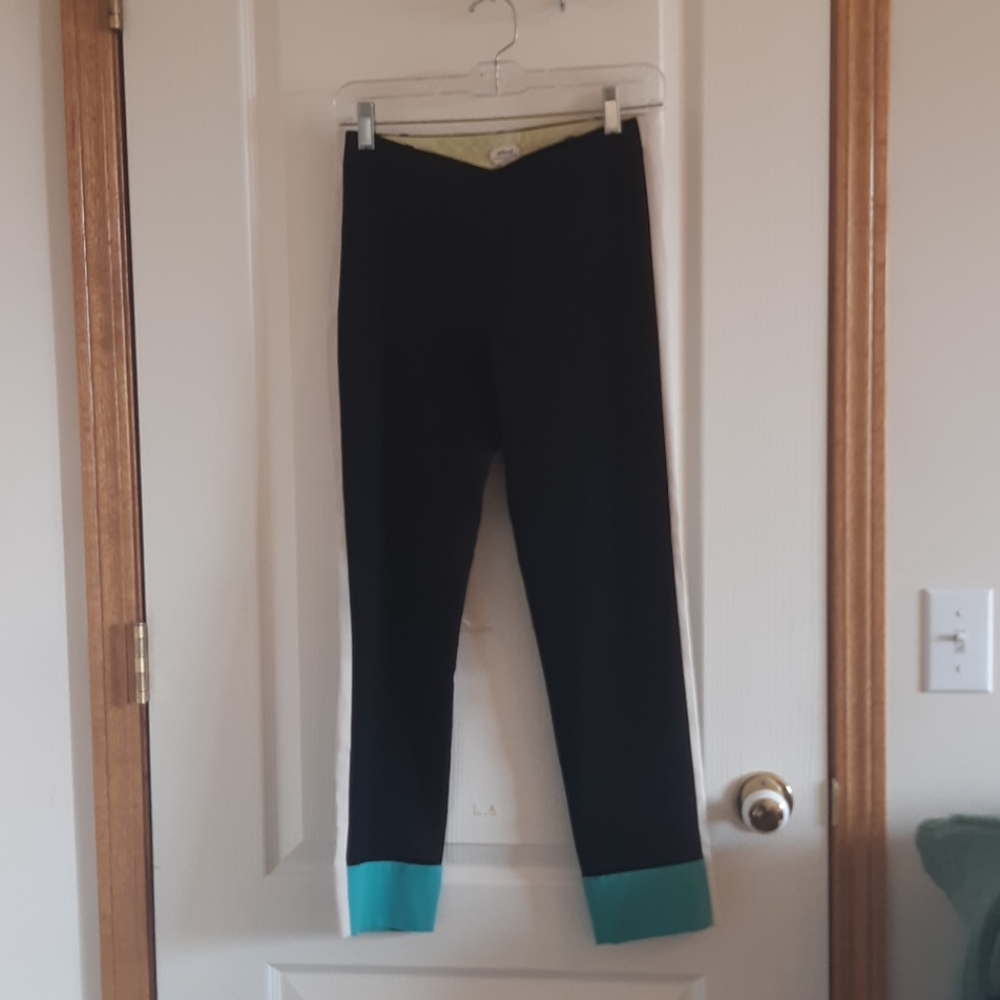 Wilfred Aritzia Pant/Trouser